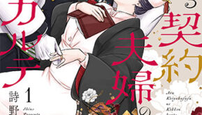 或る契約夫婦の結婚カルテ_書影