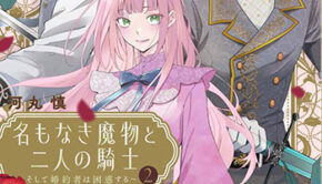 名もなき魔物と二人の騎士2_書影