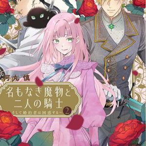 名もなき魔物と二人の騎士2_書影