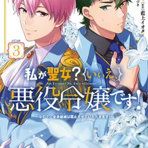 私が聖女？いいえ、悪役令嬢です！3巻