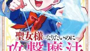 聖女様になりたいのに攻撃魔法しか使えないんですけど_書影