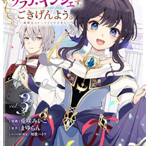 転生しました、サラナ・キンジェです。3_書影