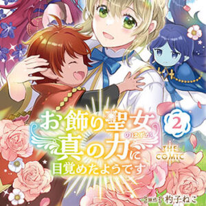 お飾り聖女のはずが、真の力に目覚めたようです-2_書影